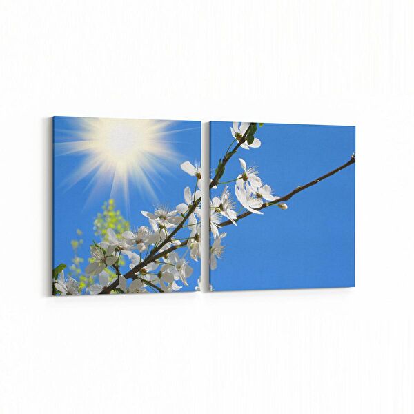 olla.market Kanvas Tablo