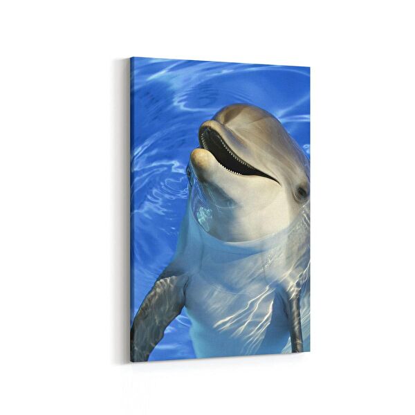 olla.market Kanvas Tablo