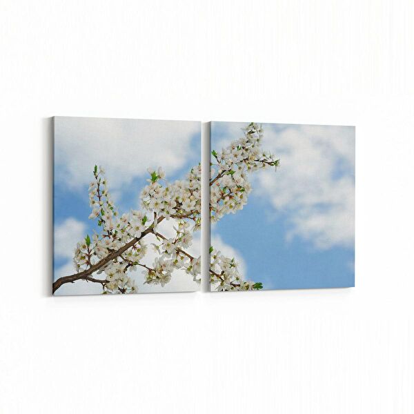 olla.market Kanvas Tablo