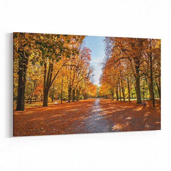 olla.market Kanvas Tablo