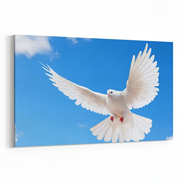 olla.market Kanvas Tablo