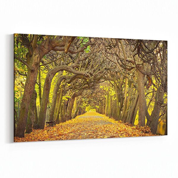 olla.market Kanvas Tablo