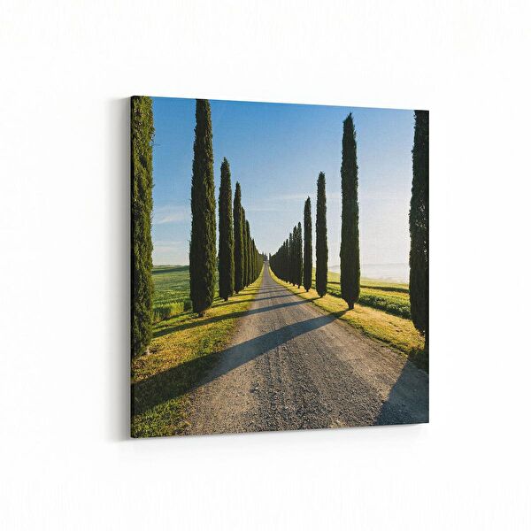 olla.market Kanvas Tablo