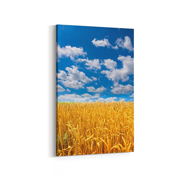 olla.market Kanvas Tablo