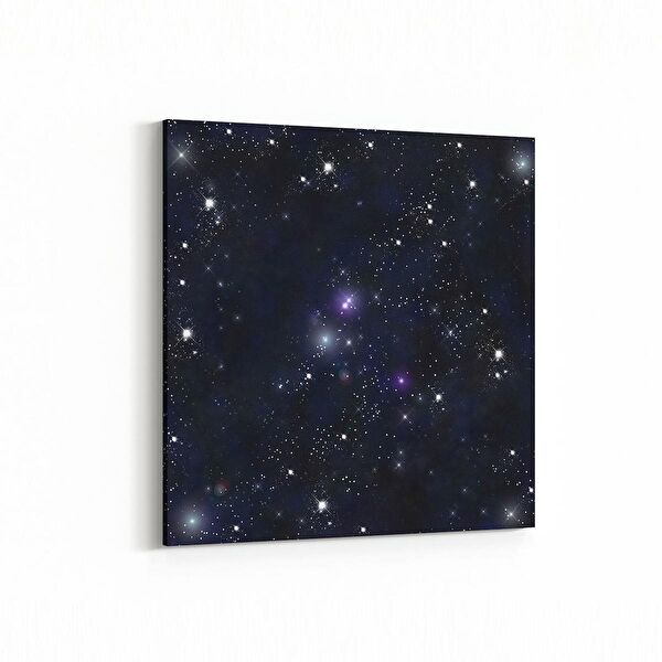 olla.market Kanvas Tablo