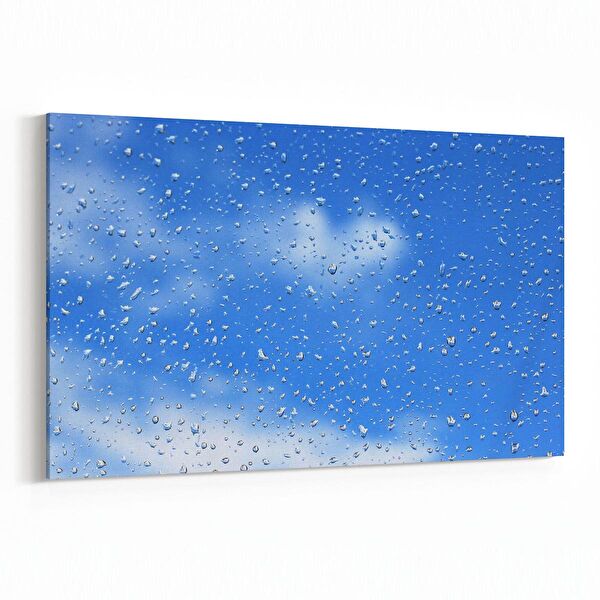 olla.market Kanvas Tablo