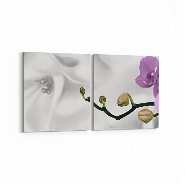 olla.market Kanvas Tablo