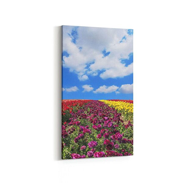 olla.market Kanvas Tablo