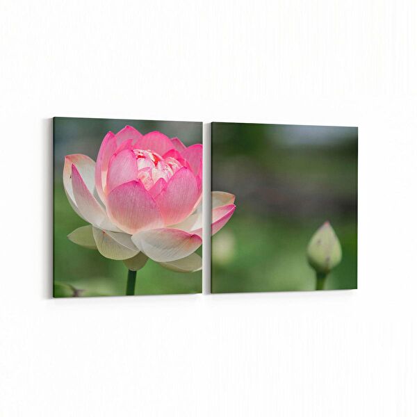 olla.market Kanvas Tablo