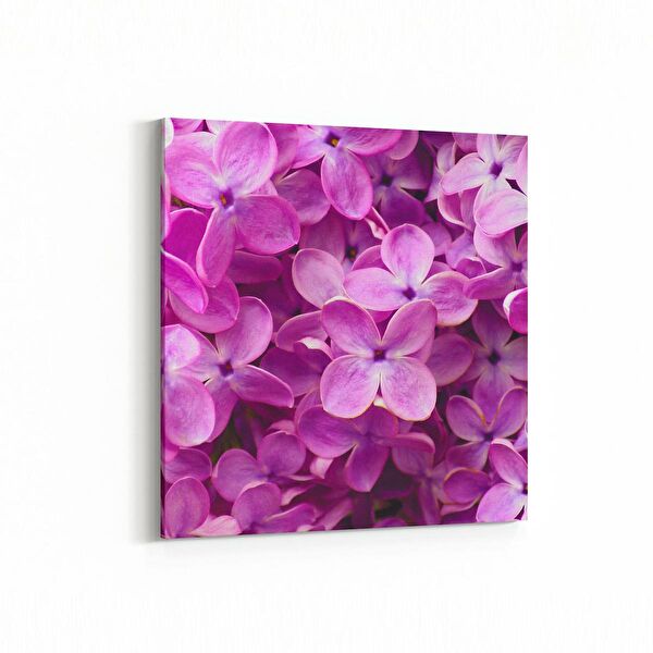 olla.market Kanvas Tablo