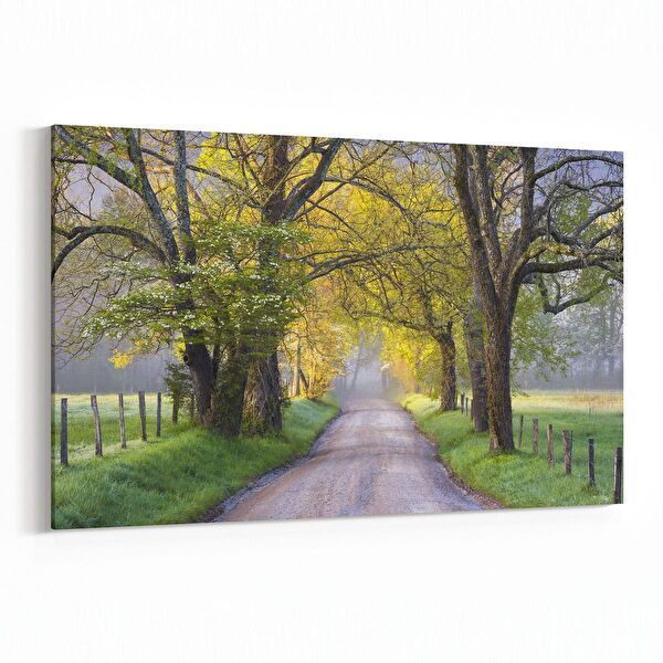 olla.market Kanvas Tablo