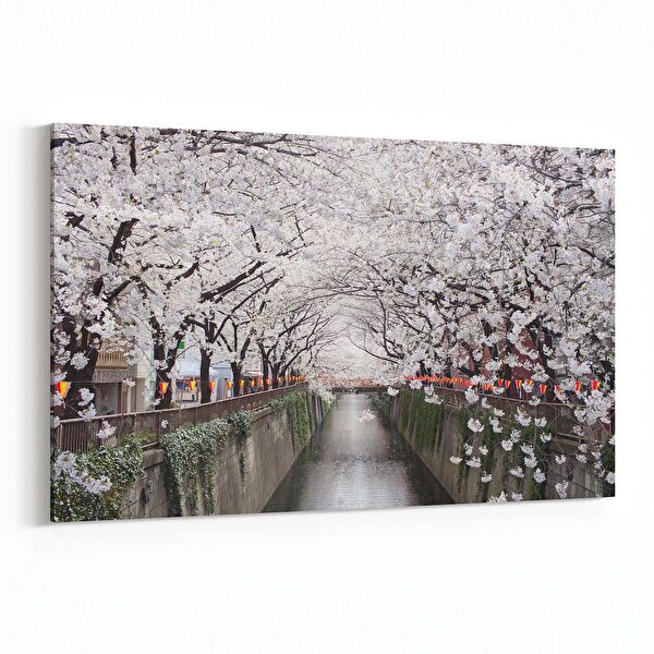 olla.market Kanvas Tablo