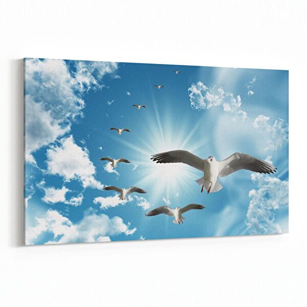 olla.market Kanvas Tablo