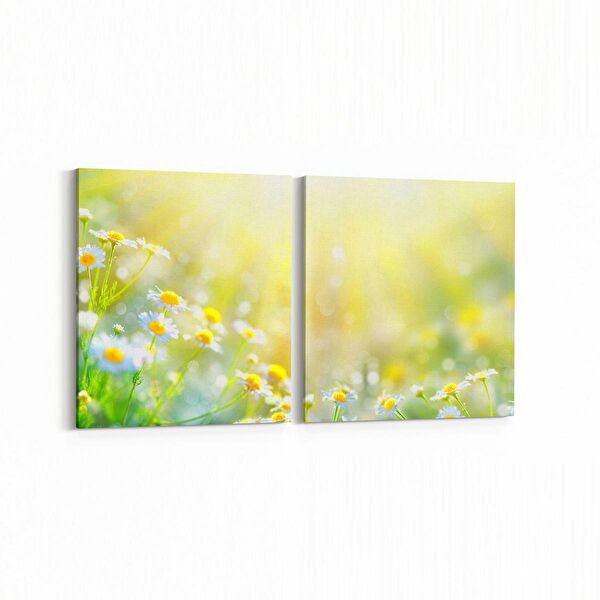 olla.market Kanvas Tablo