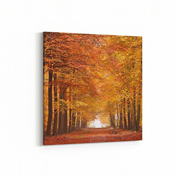 olla.market Kanvas Tablo