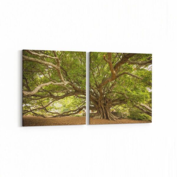 olla.market Kanvas Tablo