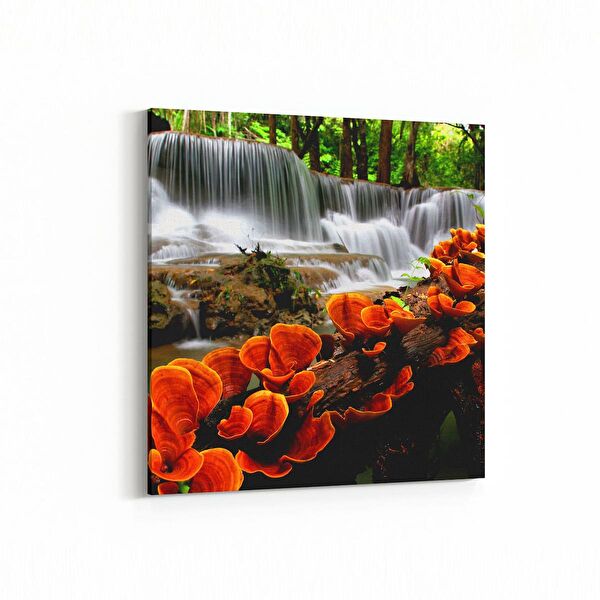 olla.market Kanvas Tablo