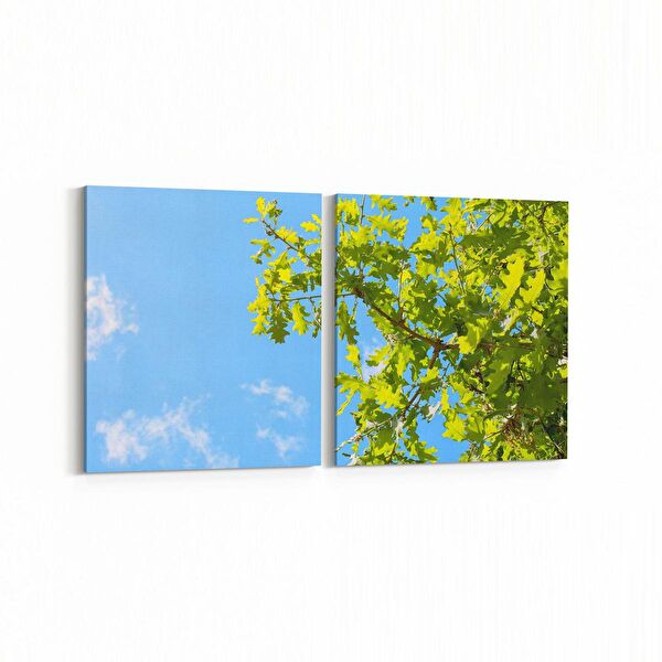 olla.market Kanvas Tablo