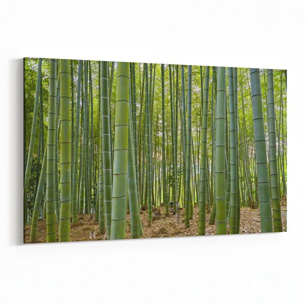 olla.market Kanvas Tablo