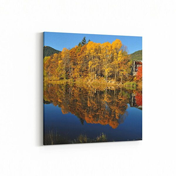 olla.market Kanvas Tablo