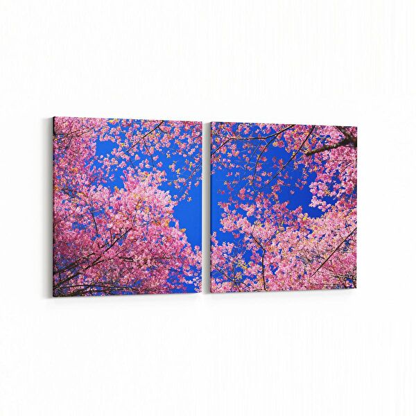 olla.market Kanvas Tablo