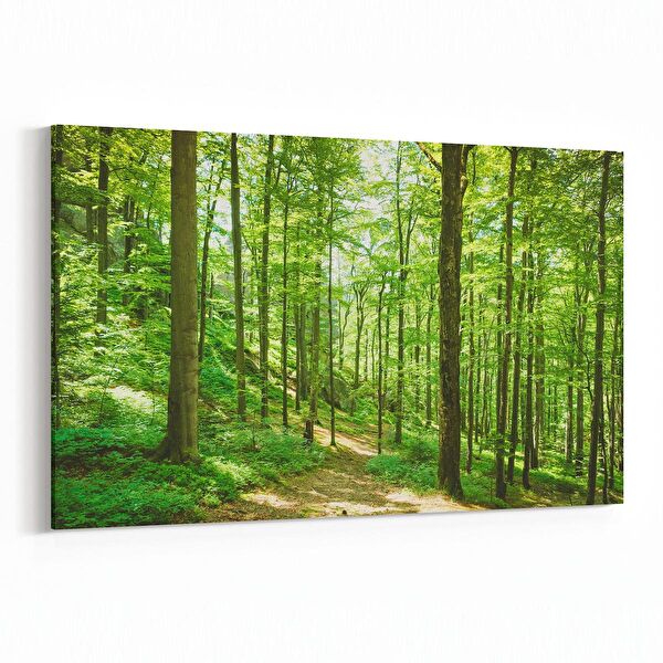 olla.market Kanvas Tablo