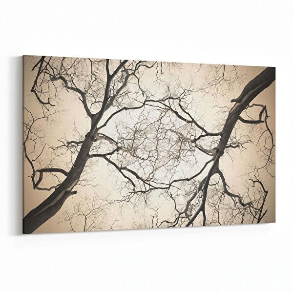 olla.market Kanvas Tablo