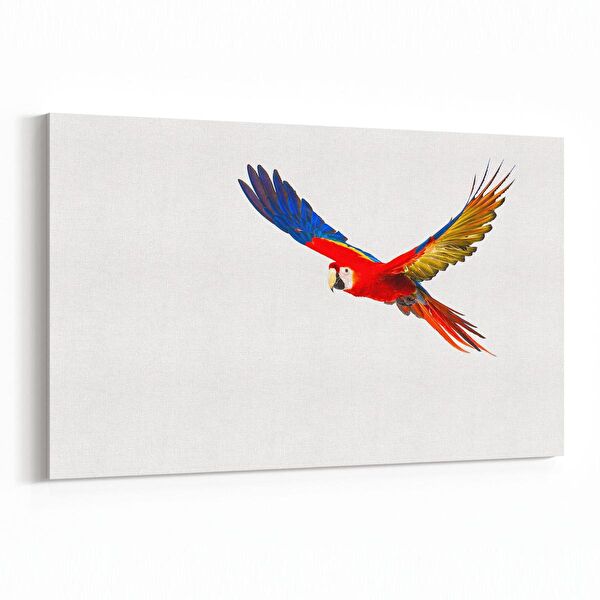 olla.market Kanvas Tablo