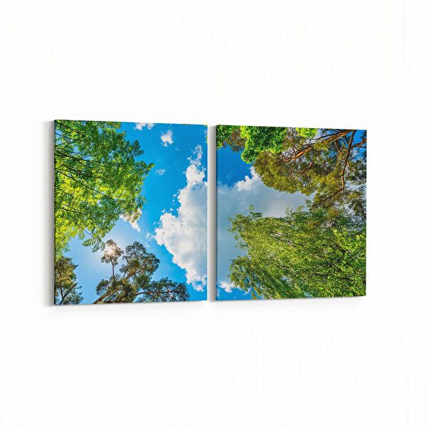 olla.market Kanvas Tablo