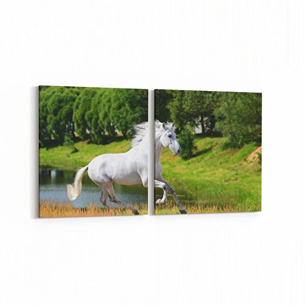 olla.market Kanvas Tablo