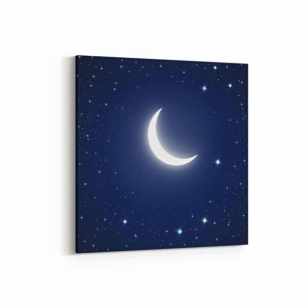 olla.market Kanvas Tablo