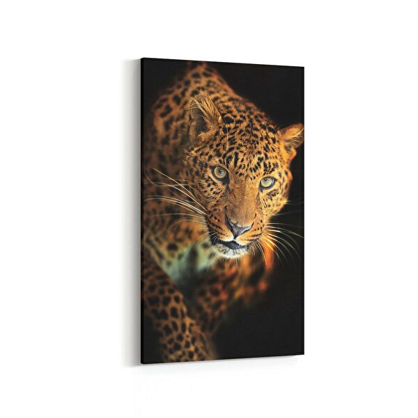 olla.market Kanvas Tablo