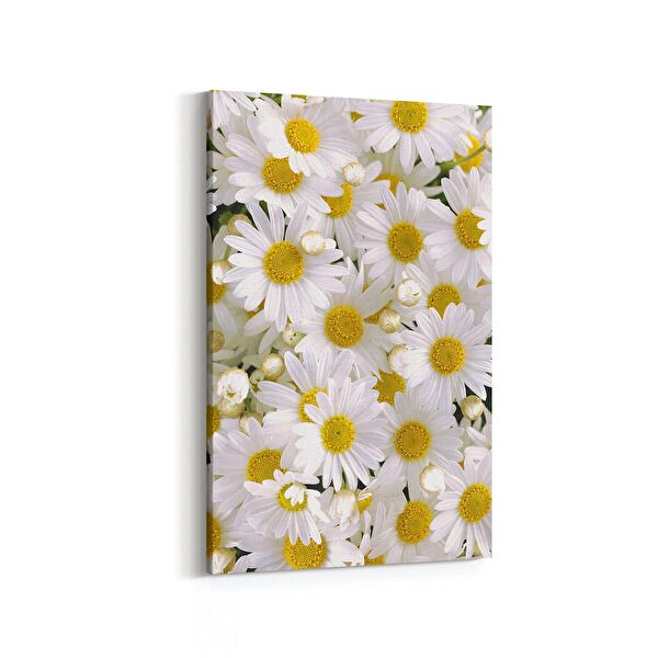 olla.market Kanvas Tablo