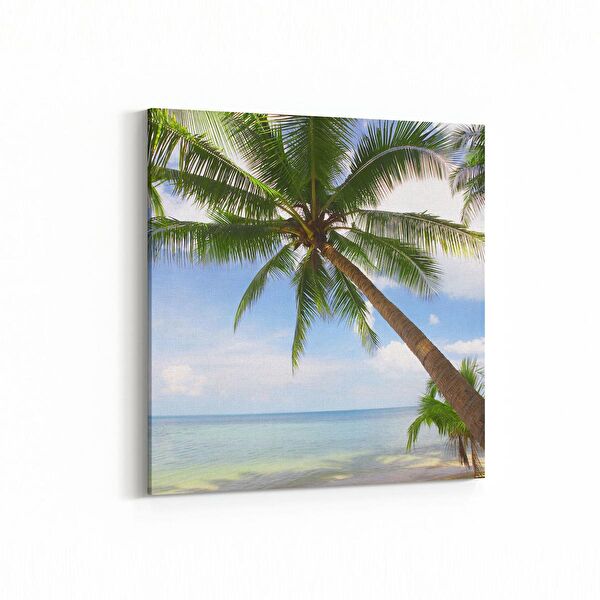 olla.market Kanvas Tablo