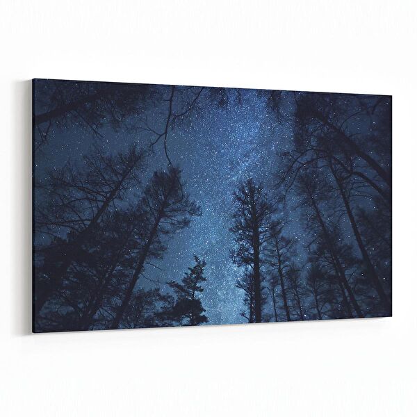 olla.market Kanvas Tablo