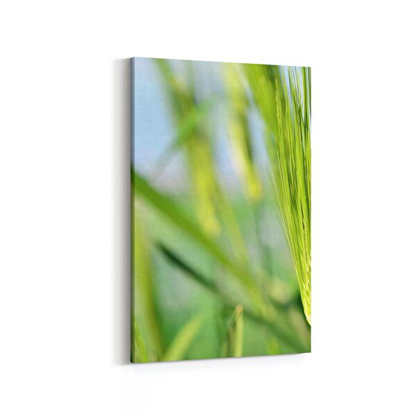 olla.market Kanvas Tablo