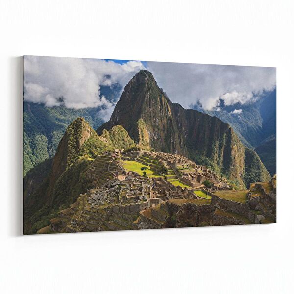 olla.market Kanvas Tablo