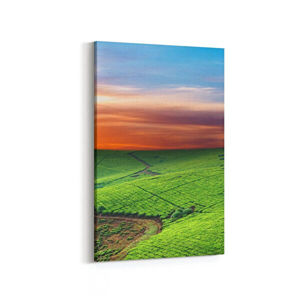 olla.market Kanvas Tablo