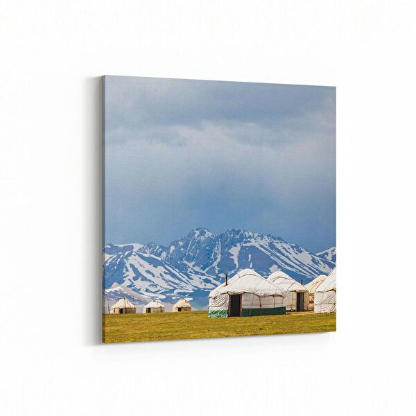 olla.market Kanvas Tablo