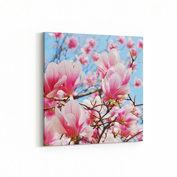 olla.market Kanvas Tablo