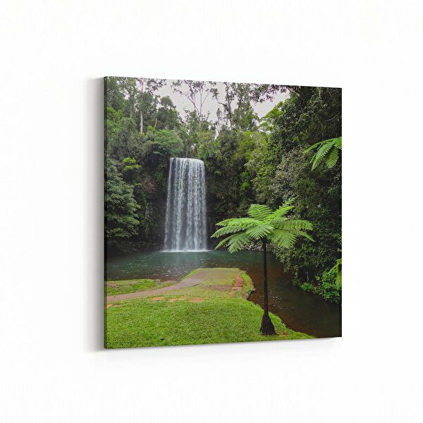 olla.market Kanvas Tablo