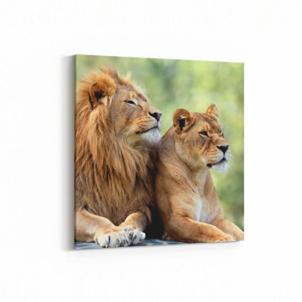 olla.market Kanvas Tablo