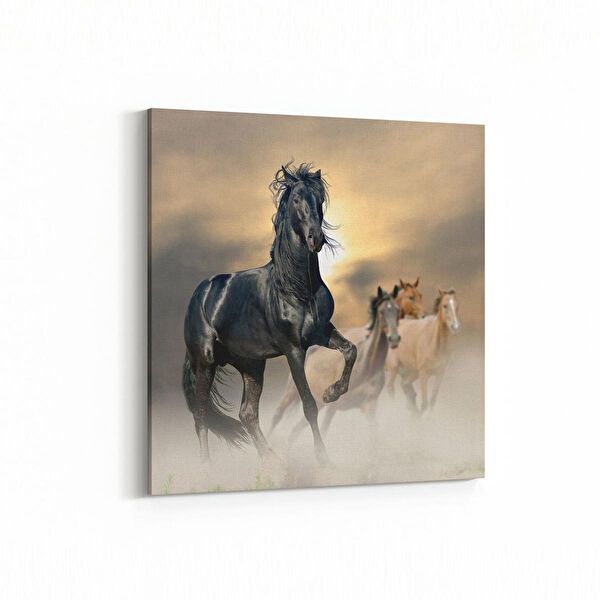 olla.market Kanvas Tablo