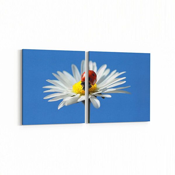 olla.market Kanvas Tablo