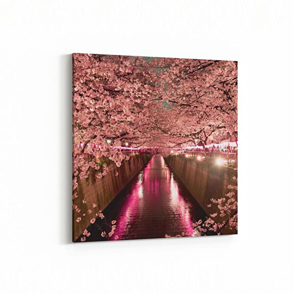 olla.market Kanvas Tablo