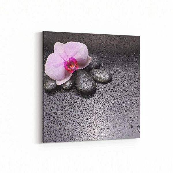 olla.market Kanvas Tablo