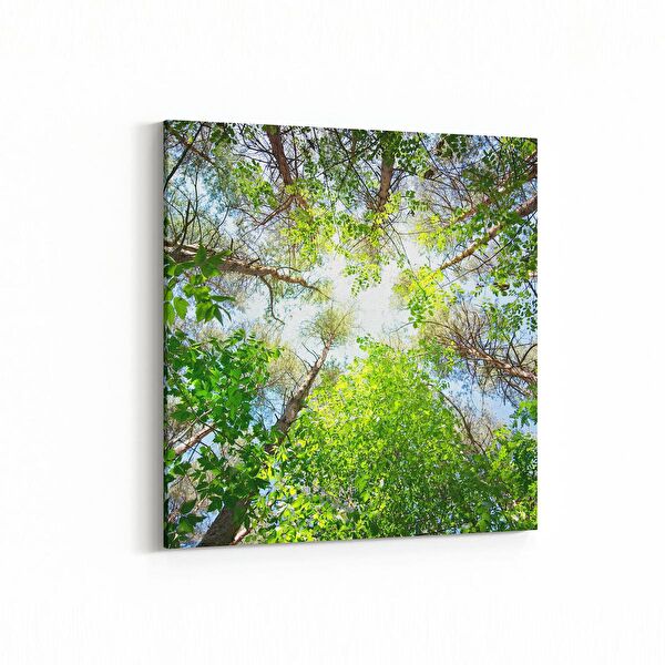 olla.market Kanvas Tablo