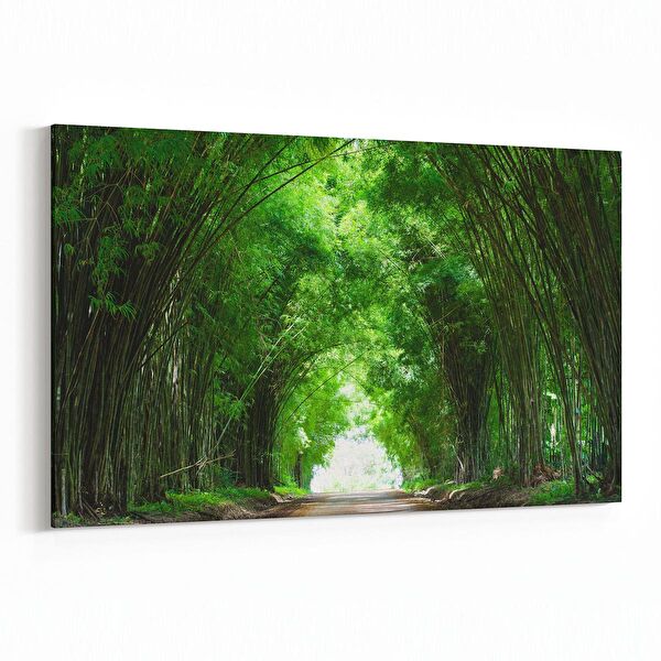 olla.market Kanvas Tablo