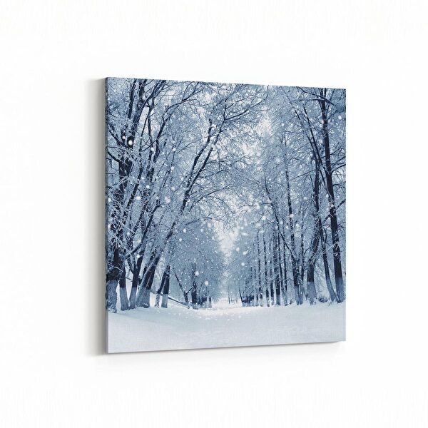 olla.market Kanvas Tablo