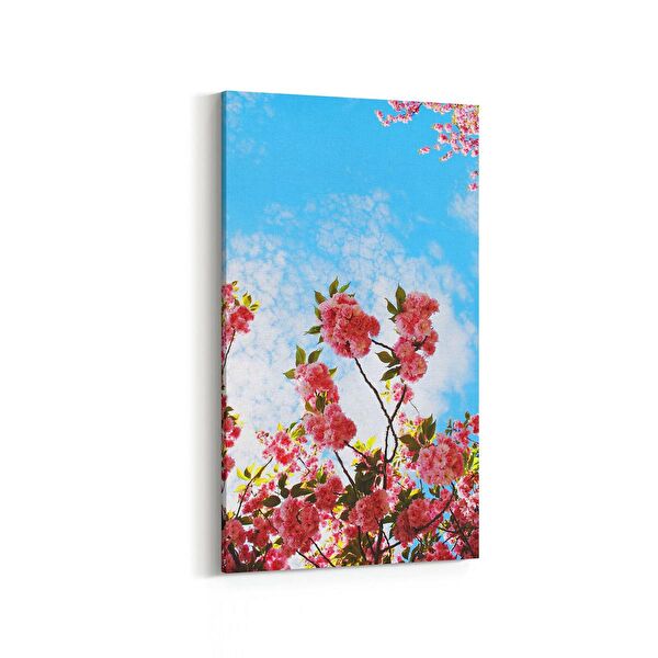 olla.market Kanvas Tablo